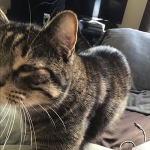 Meet your Posher, Leeann